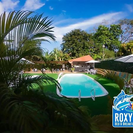 Roxy'S Bed & Breakfast Boca Chica Exterior foto