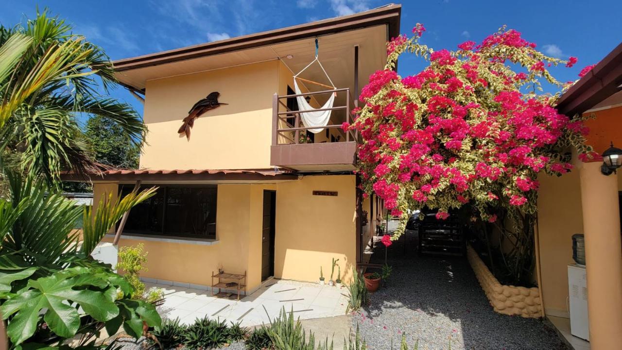 Roxy'S Bed & Breakfast Boca Chica Exterior foto